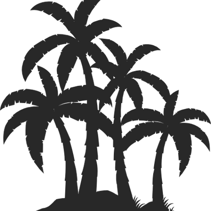 (040-01-C) Palm Tree Trees Tropical