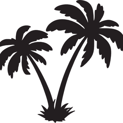 (040-01-Q) Palm Trees