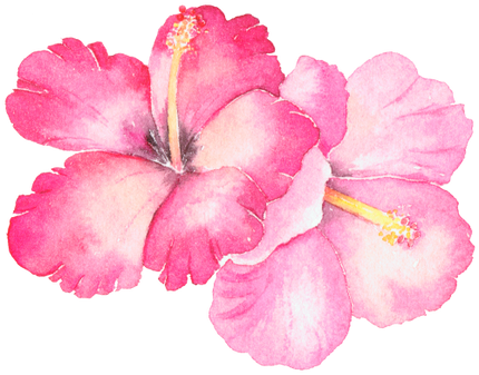 (407-02) Single Hibiscus Flower