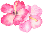 (407-02) Single Hibiscus Flower