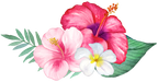 (407-02) Tropical Flowers
