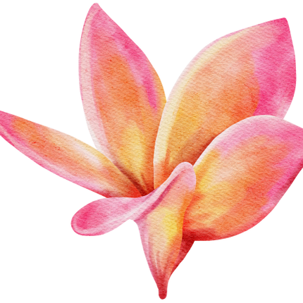 (407-02) Plumeria