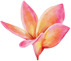 (407-02) Plumeria