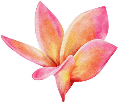 (407-02) Plumeria