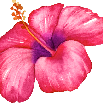 (407-02) Tropical Flowers