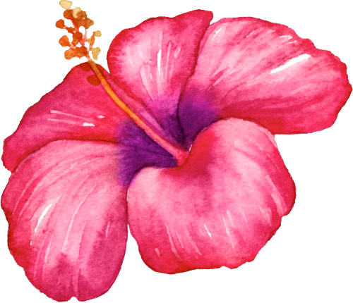 (407-02) Tropical Flowers