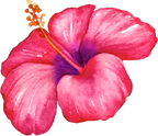 (407-02) Tropical Flowers