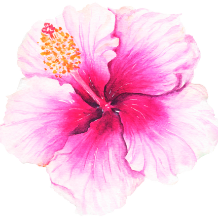 (407-02) Tropical Flowers