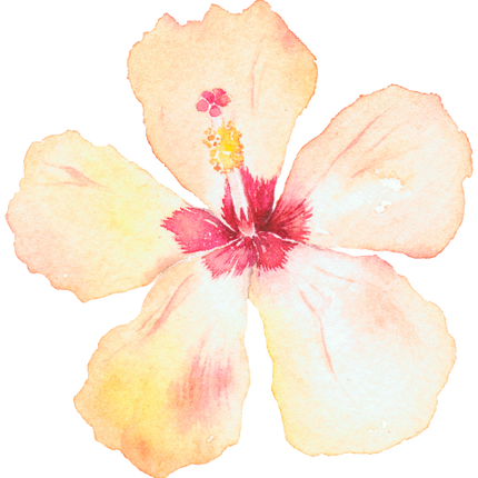 (407-02) Single Hibiscus Flower
