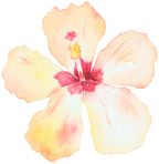 (407-02) Single Hibiscus Flower