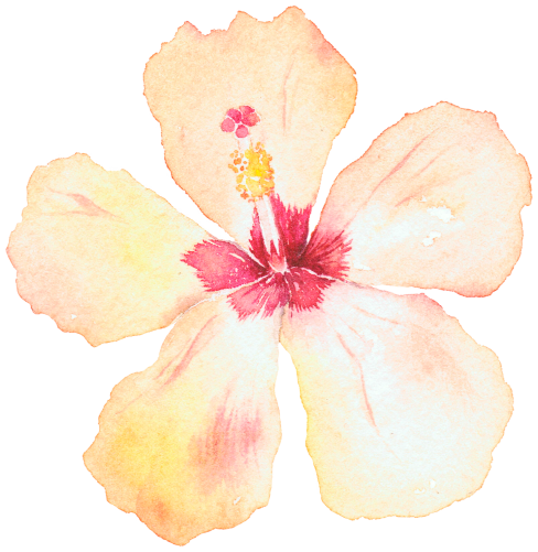 (407-02) Single Hibiscus Flower