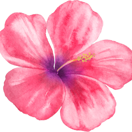 (407-02) Tropical Flowers