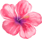 (407-02) Tropical Flowers