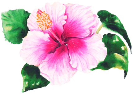 (407-02) Tropical Flowers