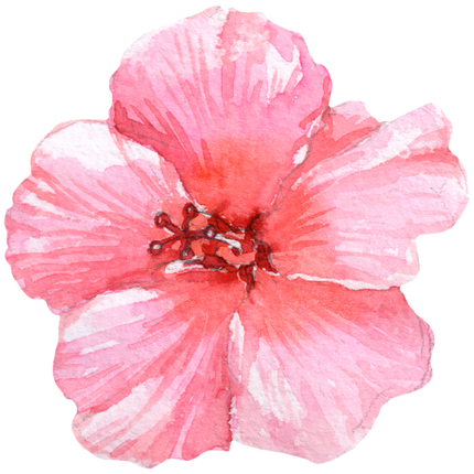 (407-02) Single Hibiscus Flower
