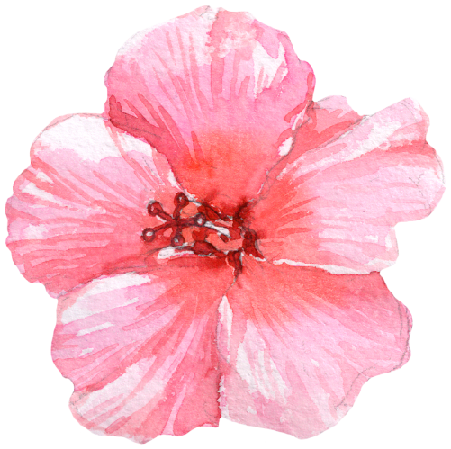 (407-02) Single Hibiscus Flower
