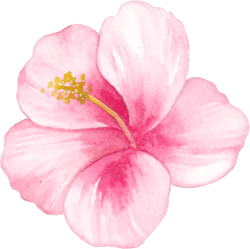 (407-02) Tropical Flowers