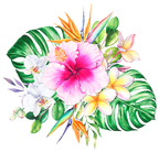 (407-02) White Orchids