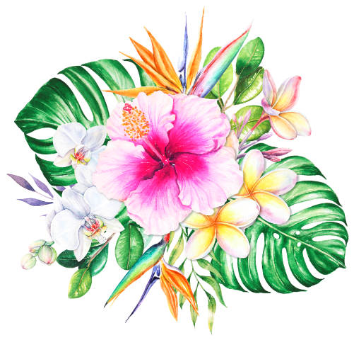 (407-02) White Orchids