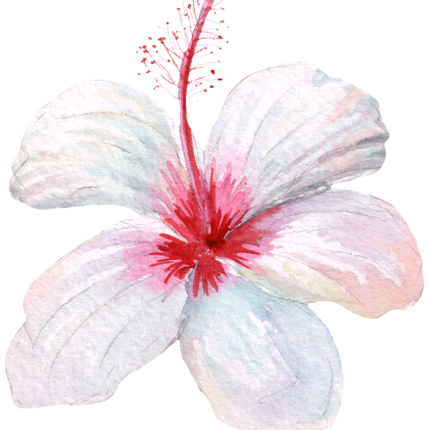 (407-02) Single Hibiscus Flower