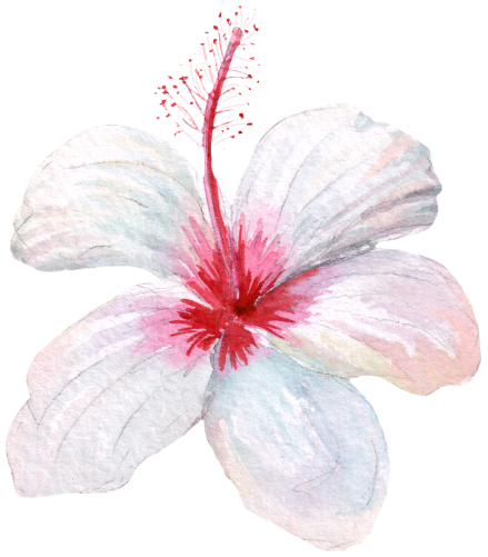 (407-02) Single Hibiscus Flower