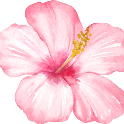 (407-02) Tropical Flowers