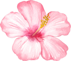 (407-02) Tropical Flowers