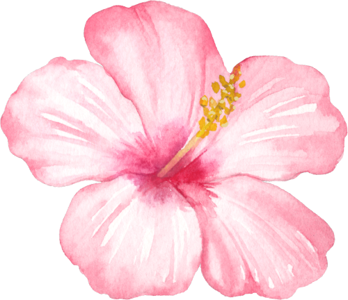 (407-02) Tropical Flowers