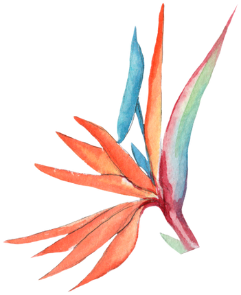 (407-02-1F) Bird of Paradise
