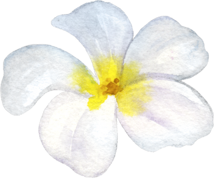 (407-02) Tropical Flowers