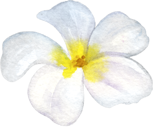 (407-02) Tropical Flowers
