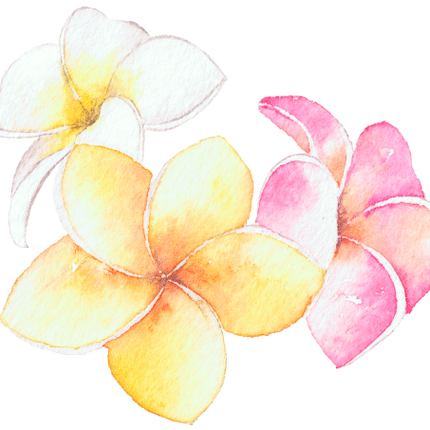 (407-02) Plumeria