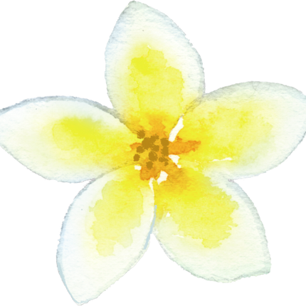 (407-02) Tropical Flowers