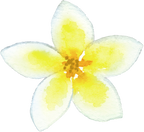 (407-02) Tropical Flowers