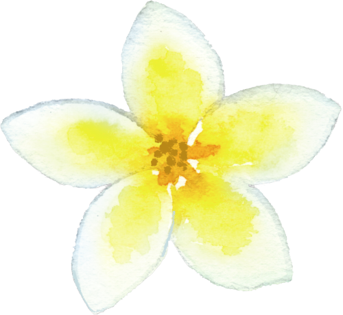 (407-02) Tropical Flowers