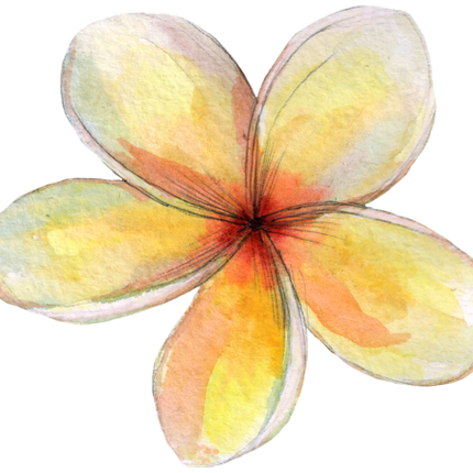 (407-02) Plumeria