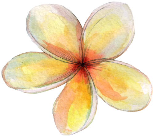 (407-02) Plumeria