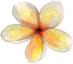 (407-02) Plumeria