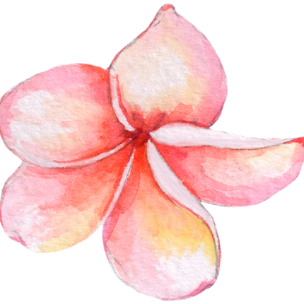 (407-02) Plumeria