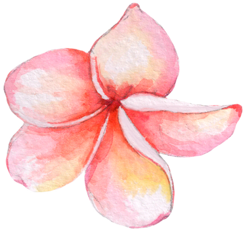 (407-02) Plumeria