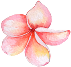 (407-02) Plumeria