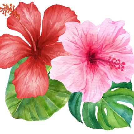 (407-02) Single Hibiscus Flower