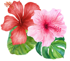 (407-02) Single Hibiscus Flower