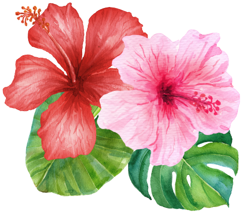 (407-02) Single Hibiscus Flower