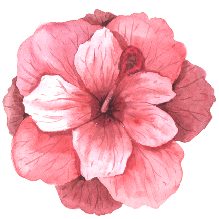 (407-02) Single Hibiscus Flower