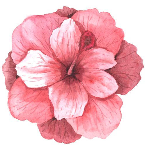 (407-02) Single Hibiscus Flower