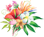 (407-02) Tropical Flowers
