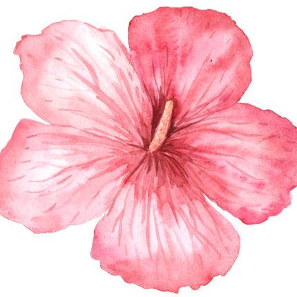 (407-02) Single Hibiscus Flower