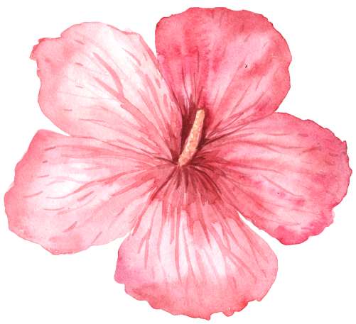 (407-02) Single Hibiscus Flower