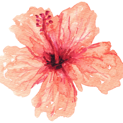 (407-02) Single Hibiscus Flower